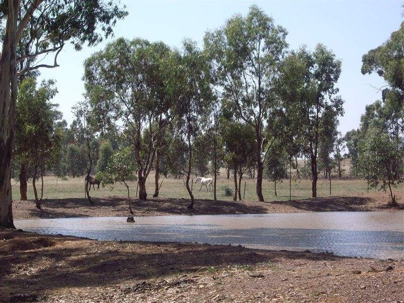 Lot 1 Nagambie Rushworth Road, Nagambie VIC 3608