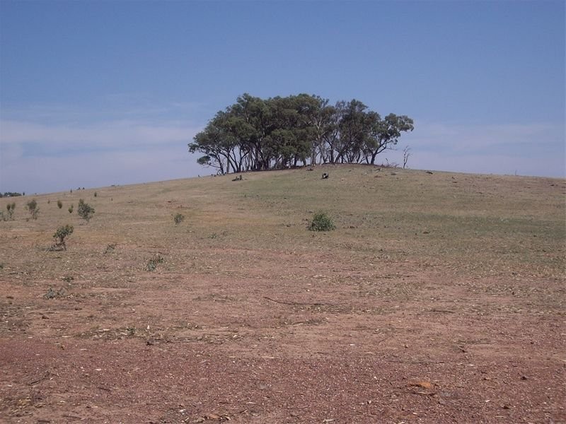 Lot 1 Nagambie Rushworth Road, Nagambie VIC 3608