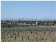 225 Lobbs Lane, Nagambie VIC 3608