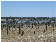 225 Lobbs Lane, Nagambie VIC 3608