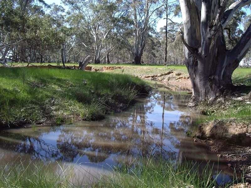 252 Old Mill Road, Nagambie VIC 3608