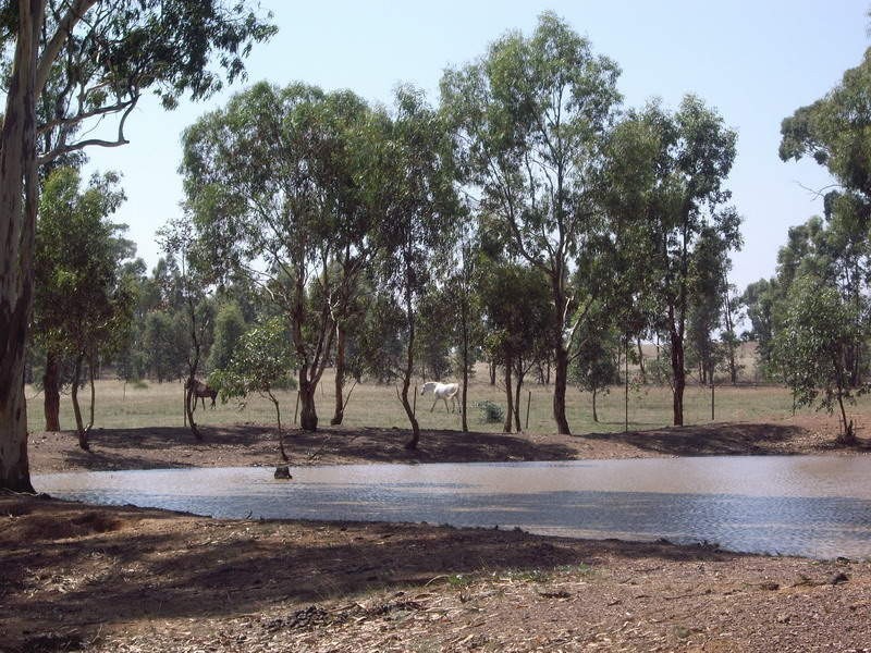 Lot 1 Nagambie Rushworth Road, Nagambie VIC 3608