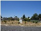 54 Wallis Street, Seymour VIC 3660