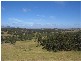 1695 Highlands Road, Seymour VIC 3660