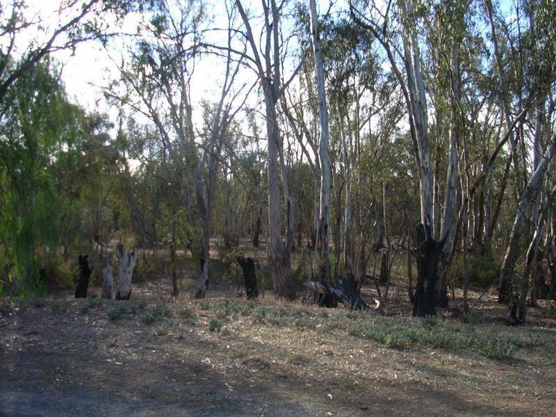 69 Pakenham Street, Echuca VIC 3564