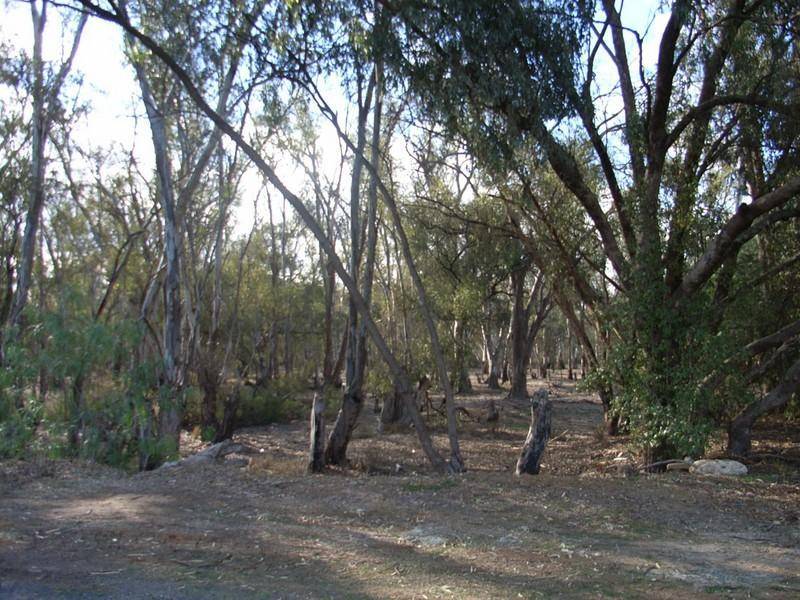 69 Pakenham Street, Echuca VIC 3564