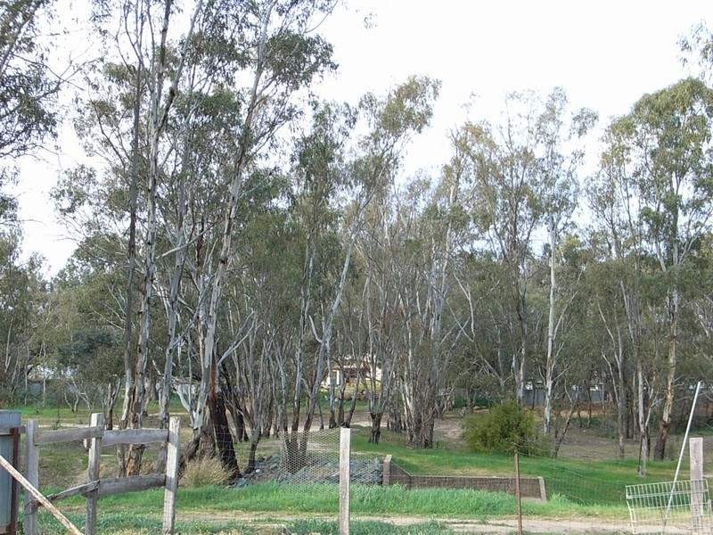 52 Moama Street, Echuca VIC 3564