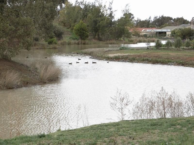 21 Kingfisher Drive, Moama NSW 2731