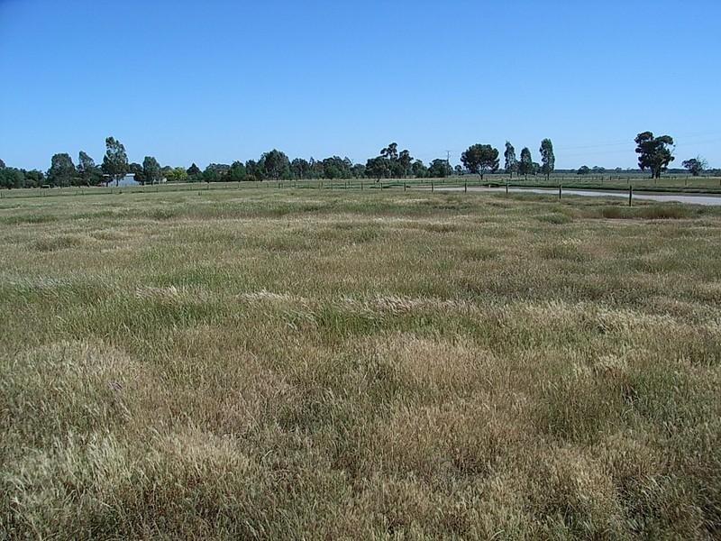 Lot 3 Castletown Court, Echuca VIC 3564