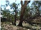 Lot 3 Cnr Singer Road/Northern Highway, Echuca VIC 3564
