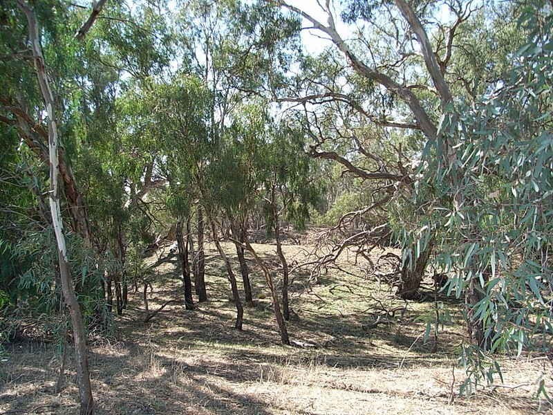 Lot 3 Cnr Singer Road/Northern Highway, Echuca VIC 3564
