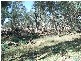 Lot 3 Cnr Singer Road/Northern Highway, Echuca VIC 3564