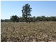 Lot 3 Cnr Singer Road/Northern Highway, Echuca VIC 3564