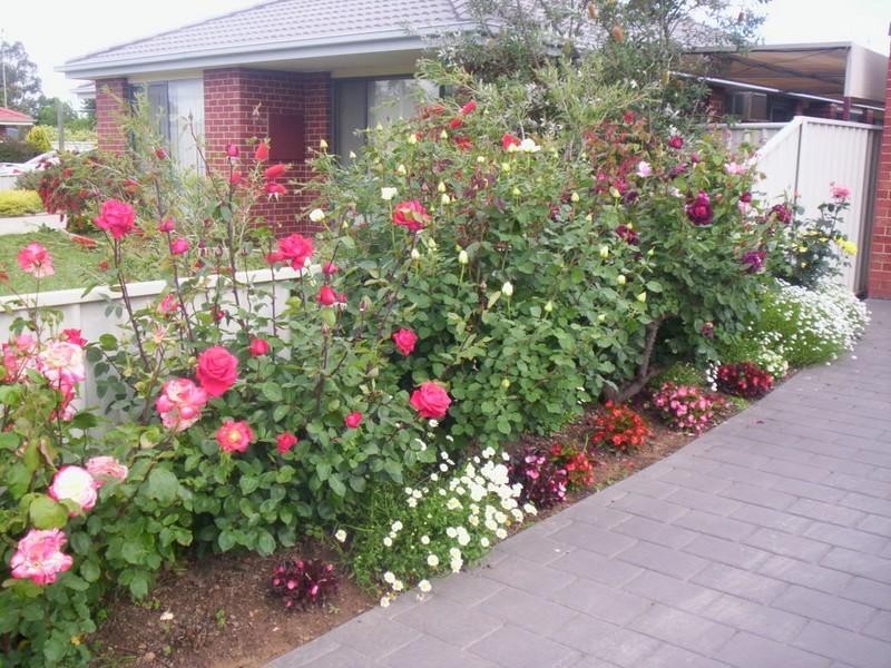 12 Annie Court, Moama NSW 2731