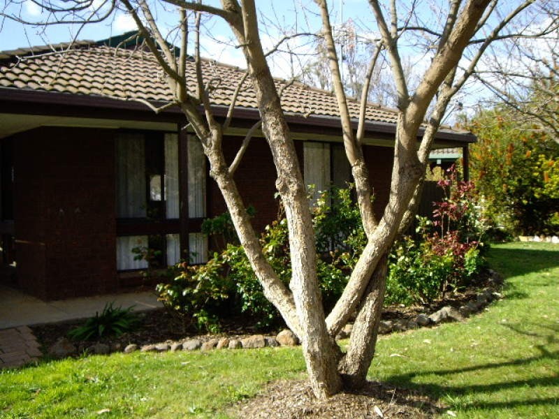 23 Memorial Drive, Tongala VIC 3621