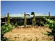 446 Perricoota Road, Moama NSW 2731