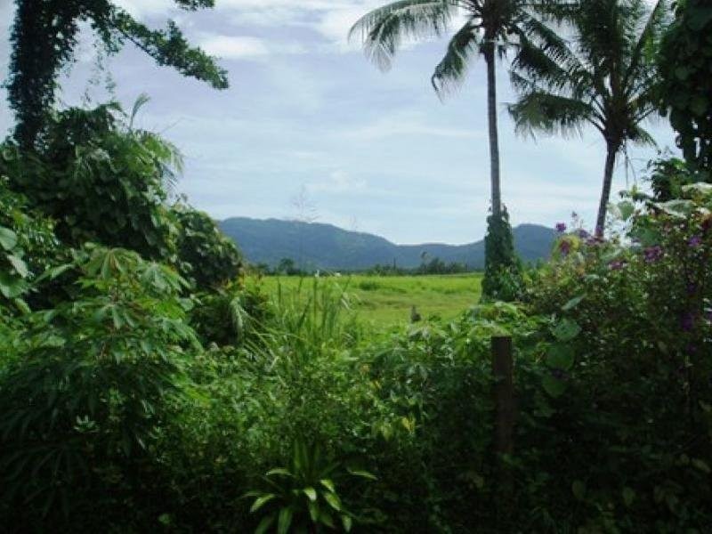 48 Christian Street, Babinda QLD 4861