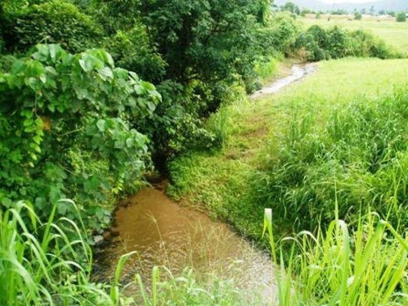 48 Christian Street, Babinda QLD 4861