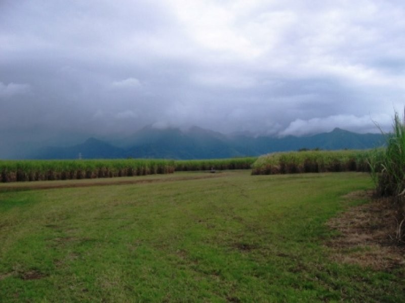 Lot 3 Hill Road, Wrights Creek QLD 4869