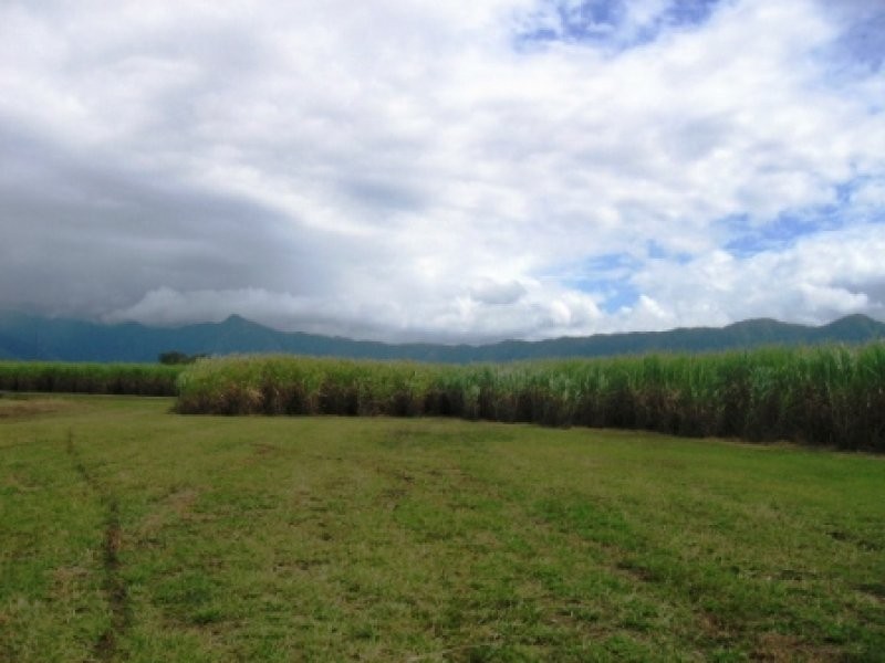 Lot 3 Hill Road, Wrights Creek QLD 4869