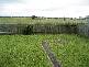 729 Summerland Way, Grafton NSW 2460