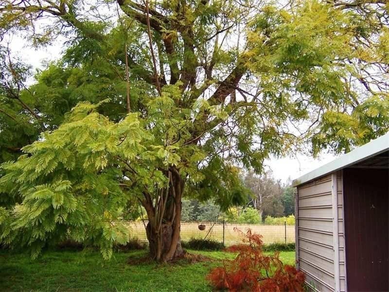 6 Phillip Road, Raymond Terrace NSW 2324