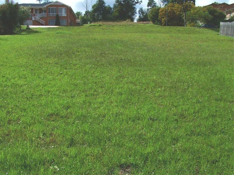 9 Elliott Close, Raymond Terrace NSW 2324