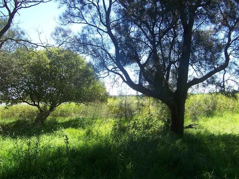 118 Port Stephens Street, Raymond Terrace NSW 2324