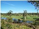 16 Sunningdale Circuit, Medowie NSW 2318
