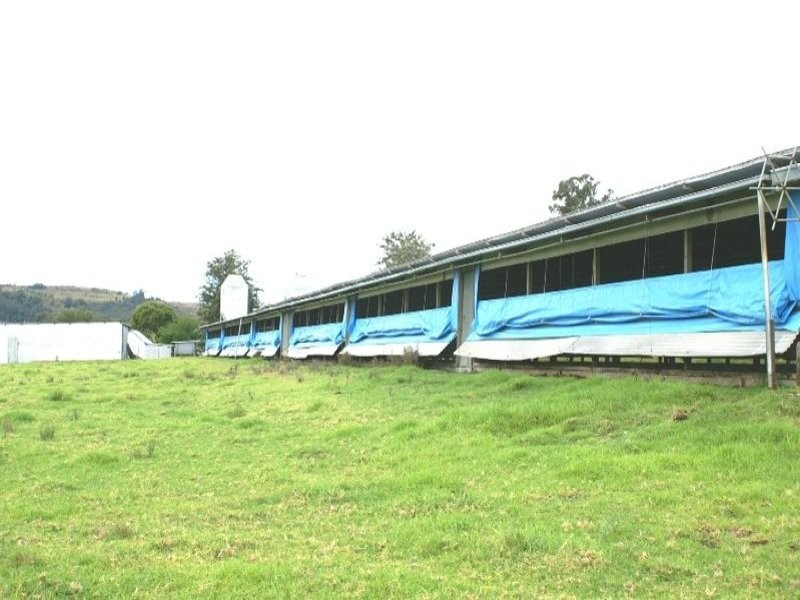 Clarence Town NSW 2321