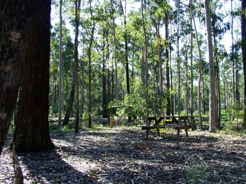 126 Ironbark Drive, Clarence Town NSW 2321