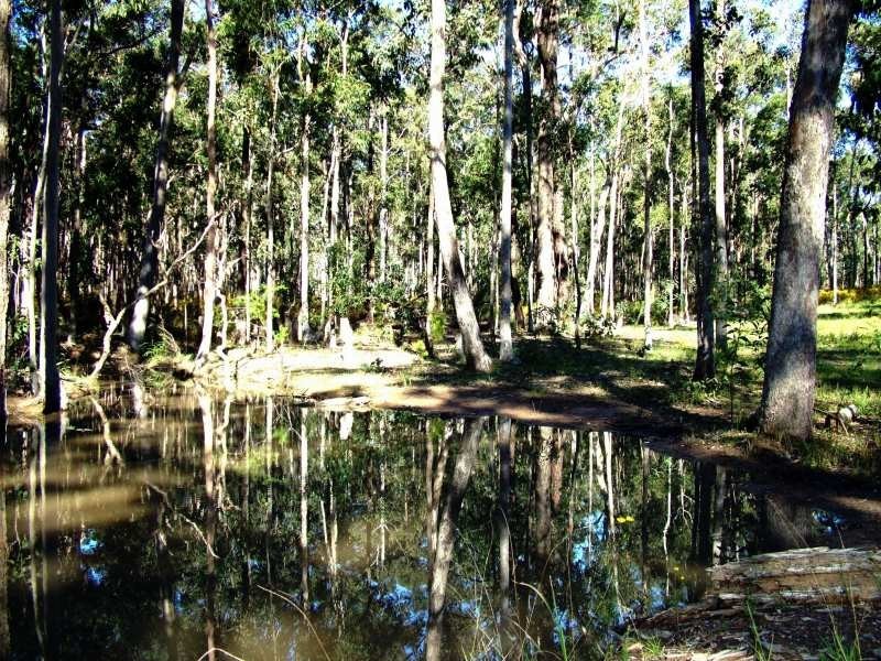 126 Ironbark Drive, Clarence Town NSW 2321