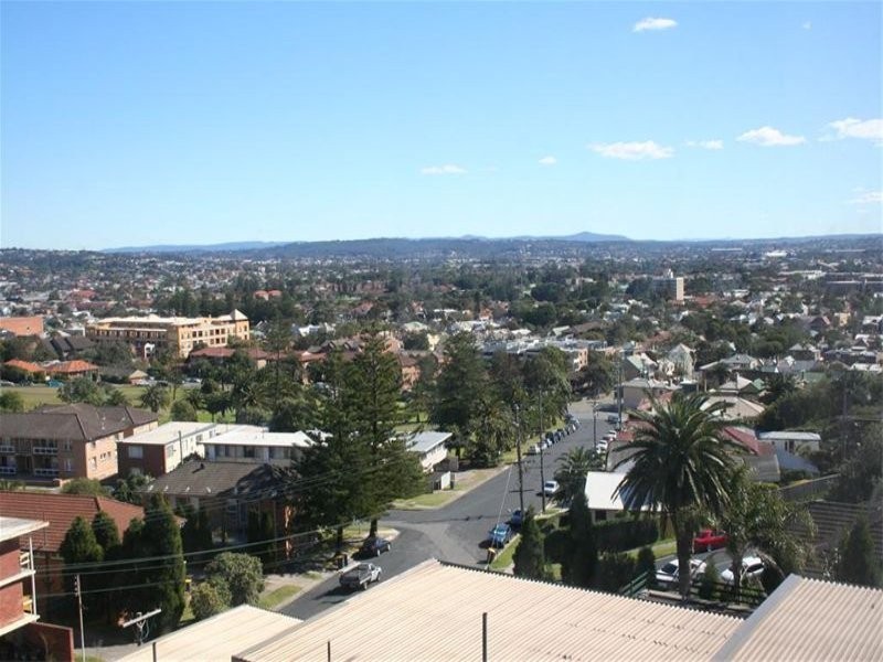 42 Lemnos Parade, The Hill NSW 2300