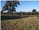 Lot 61 Kelman Estate, Pokolbin NSW 2320