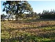 Lot 61 Kelman Estate, Pokolbin NSW 2320