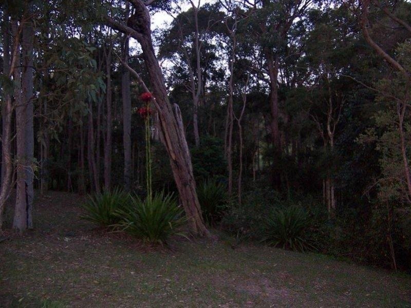 106 Harris Street, Cameron Park NSW 2285