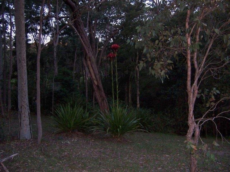 106 Harris Street, Cameron Park NSW 2285