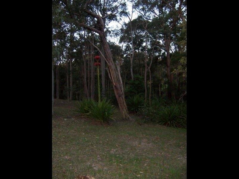 106 Harris Street, Cameron Park NSW 2285