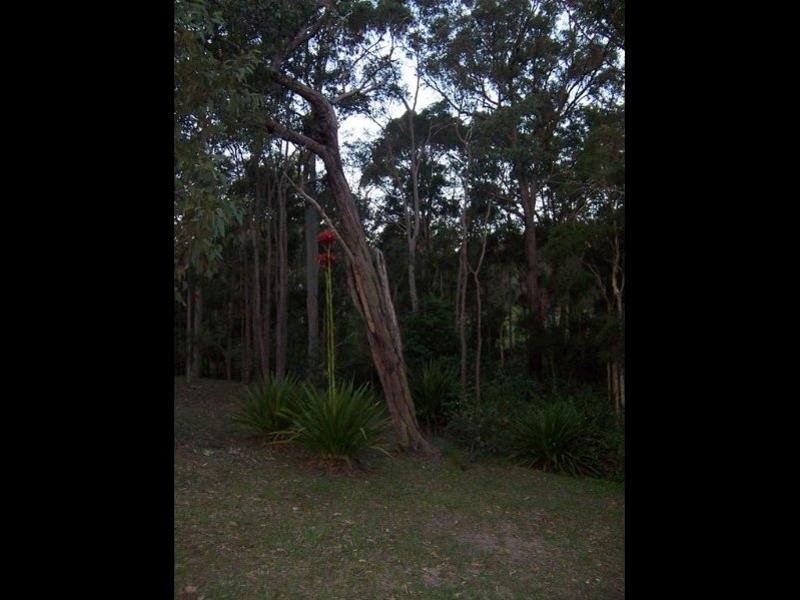 106 Harris Street, Cameron Park NSW 2285