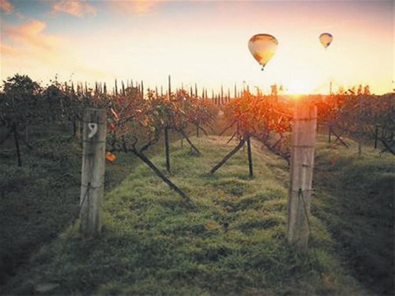 Bentwood Estate Broke Road, Pokolbin NSW 2320