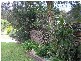 3 Roberts Street, Whitebridge NSW 2290