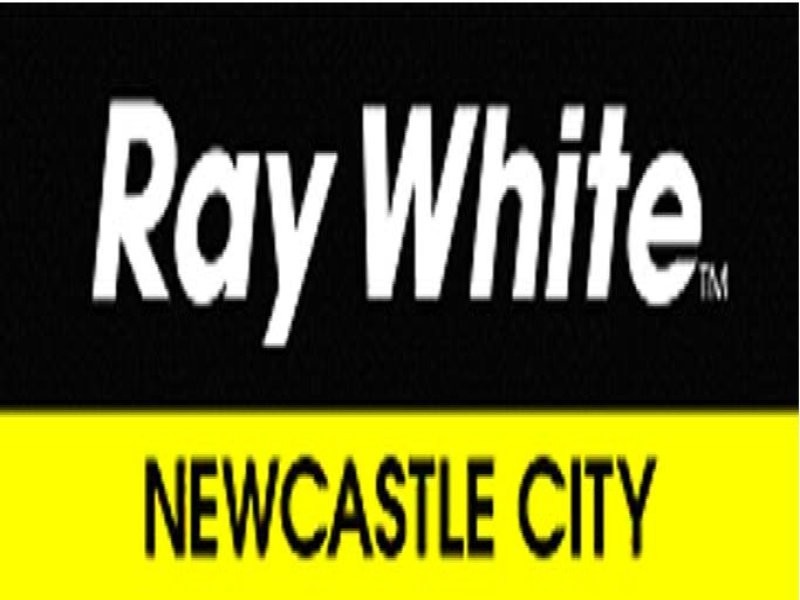 20 Swan Street, Cooks Hill NSW 2300