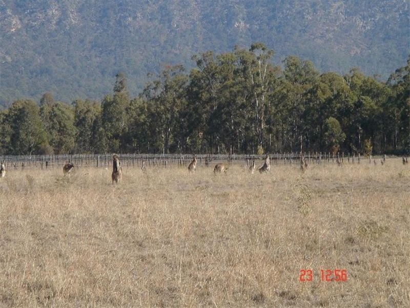 Bentwood Estate Broke Road, Pokolbin NSW 2320