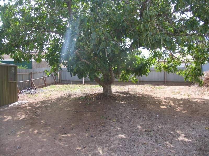 20 Morgan Avenue, Daw Park SA 5041