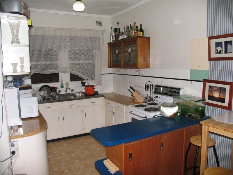 10 Dudley Avenue, Daw Park SA 5041