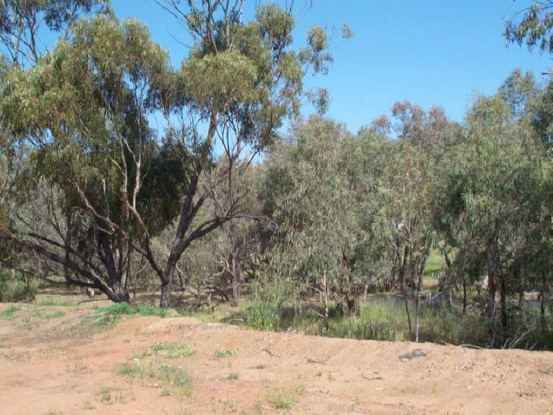 21 Bland Street, York WA 6302