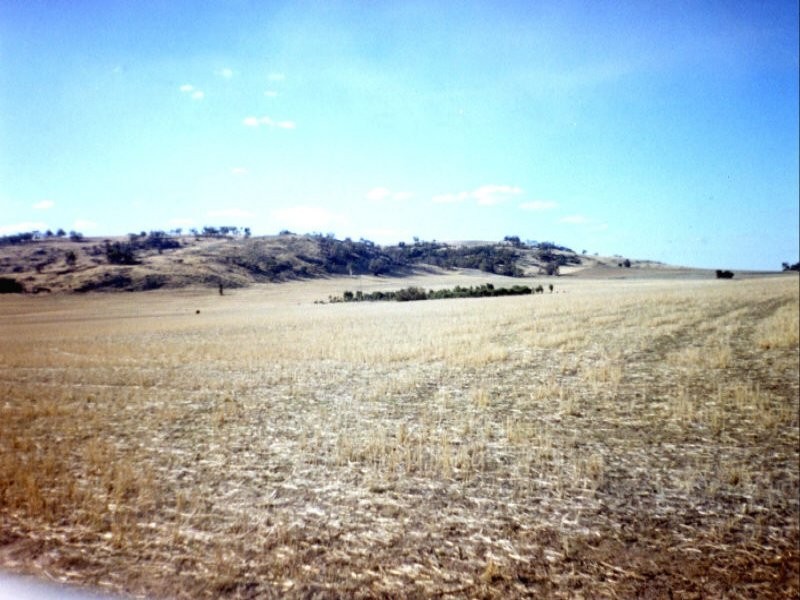 105 York Williams Road, Beverley WA 6304