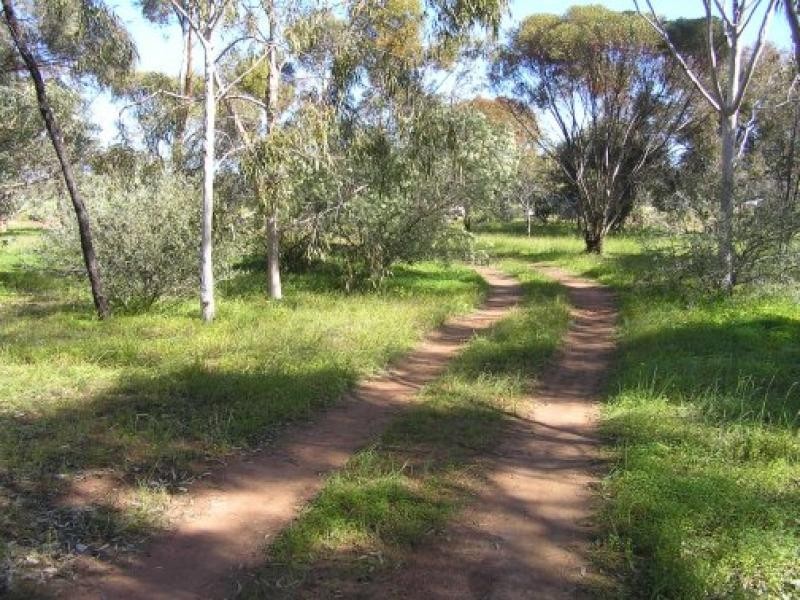 Lot Lot 11 Lincoln Street, York WA 6302