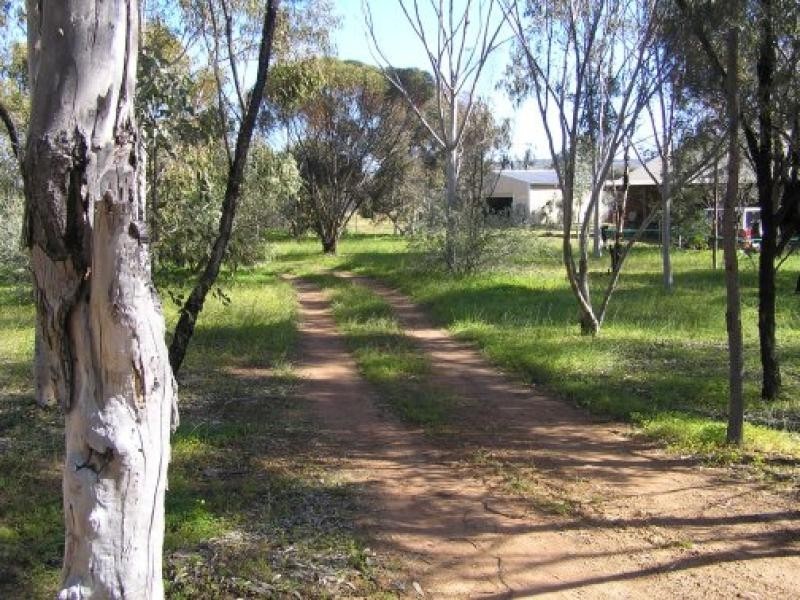 Lot Lot 11 Lincoln Street, York WA 6302