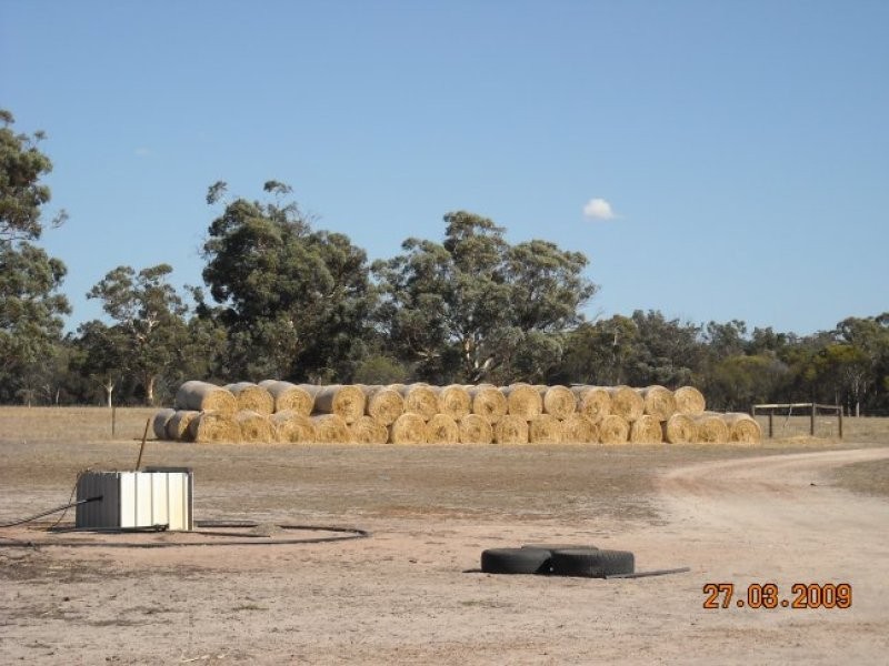 133 Sheahan Road, Beverley WA 6304